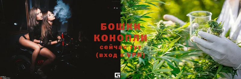 цена наркотик  Беломорск  Конопля OG Kush 